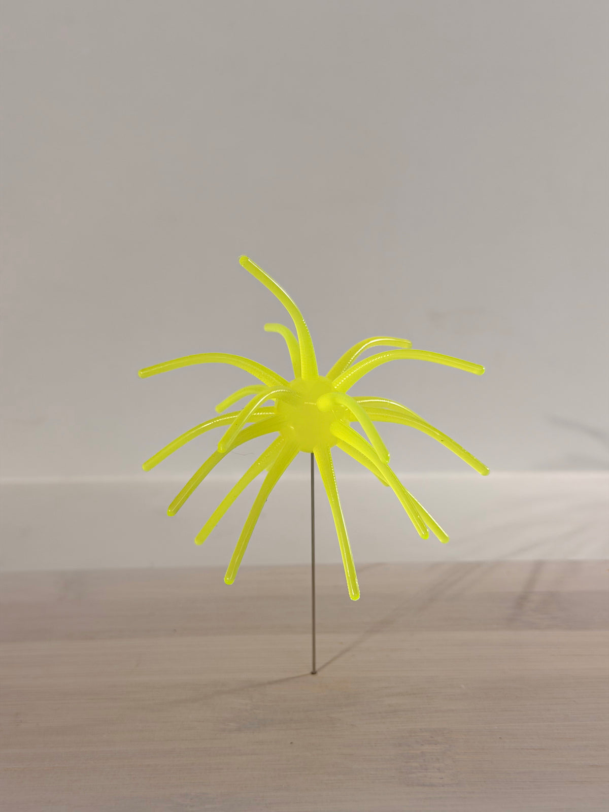 The Virus 4" (2 PK)